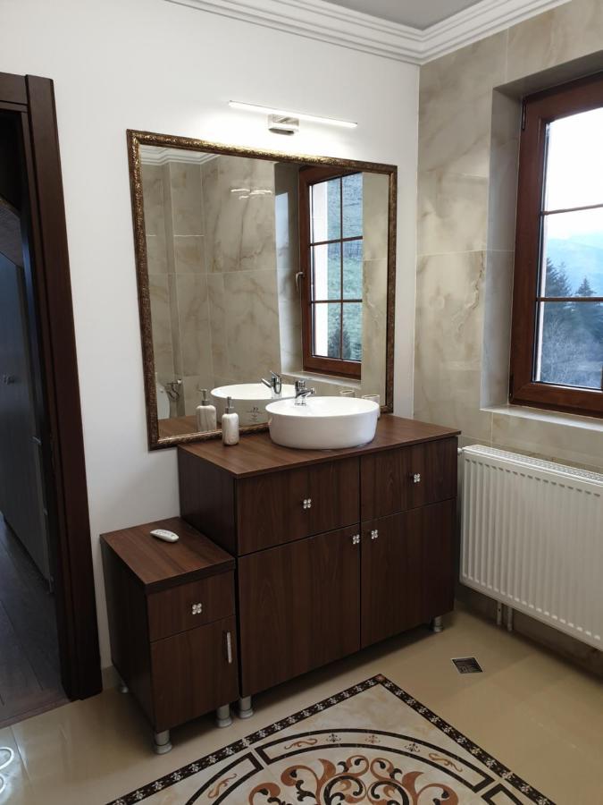 Vila Daria 3 Rucăr Eksteriør bilde